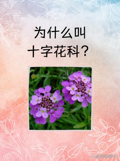 淡紫青云是什么意思截图