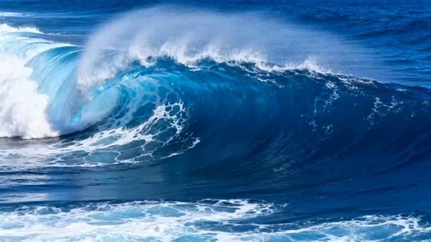 大海视频下载免费观看