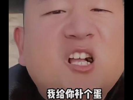 我给你补个蛋表情包