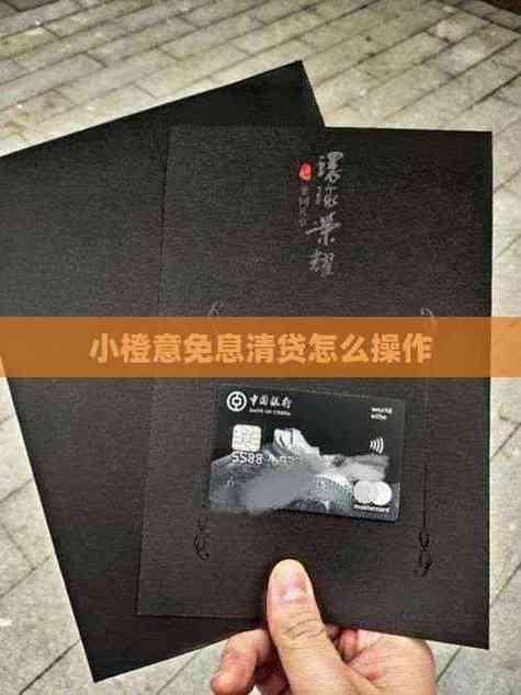跟小橙意一样的借款