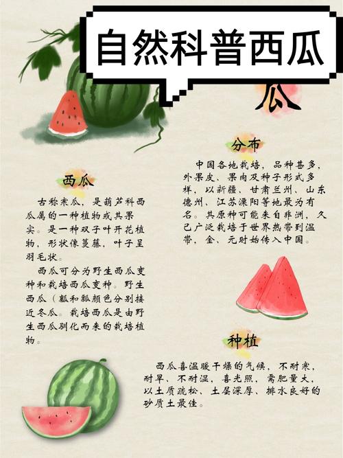 西瓜的介绍