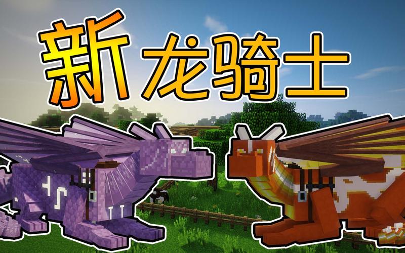 我的世界龙骑士3