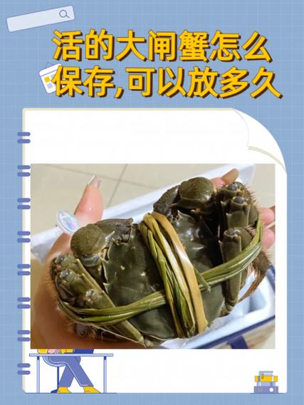 活螃蟹怎么能放的久一些