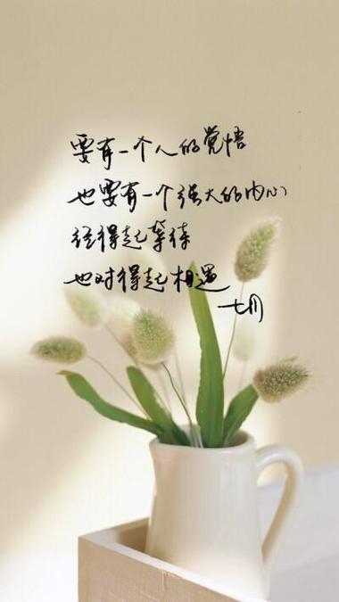 每日心灵鸡汤
