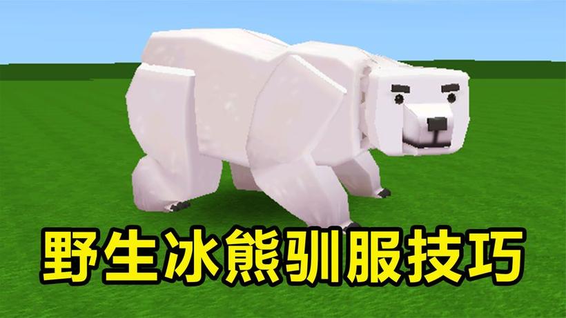 如何驯服冰原萌宝