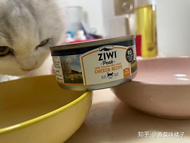 猫罐头尽量少吃的原因