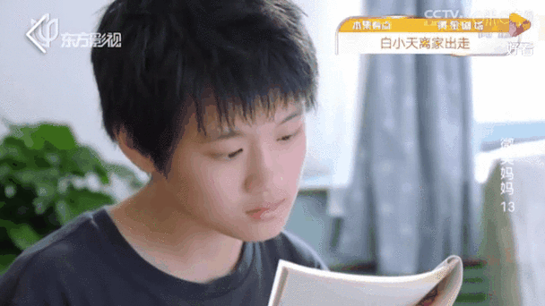 合租情缘沈以安宋翊白