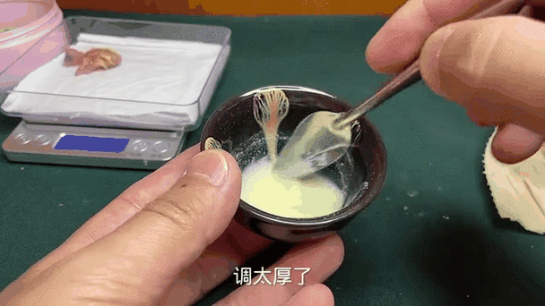玄凤多久可以繁殖下蛋