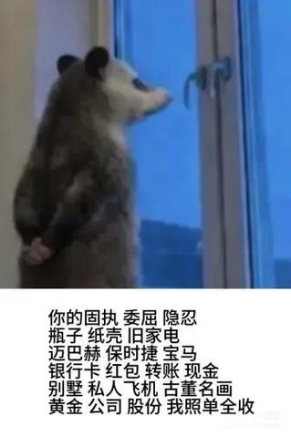 负鼠站在窗边的表情包