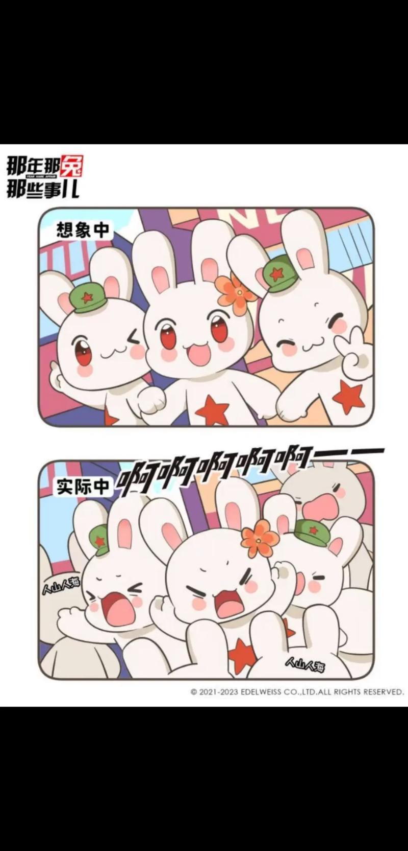 兔聊旧版本缩略图