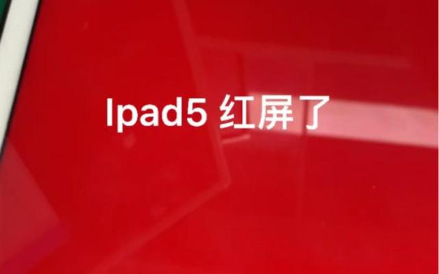 ipad开机闪一下红屏然后重启缩略图