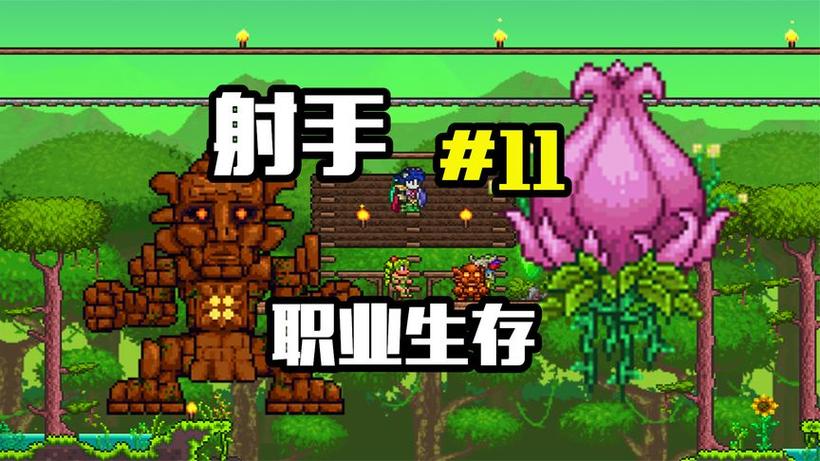泰拉瑞亚石巨人之眼