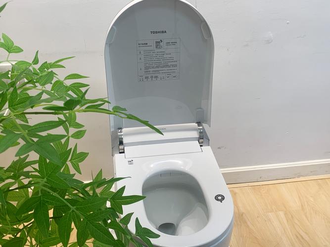 智能马桶冲洗干净吗