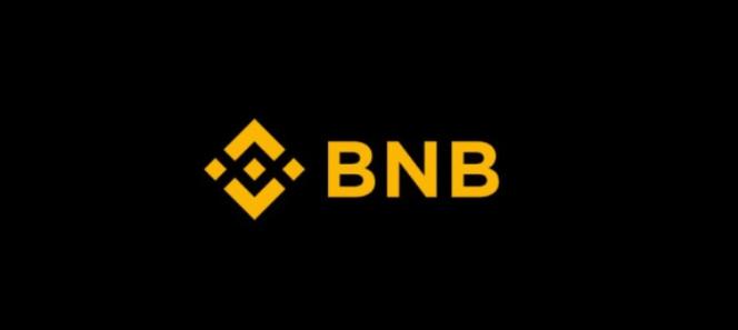 bnb能涨到一万吗