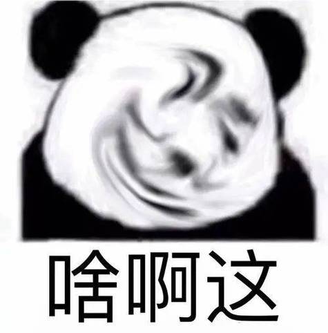 熊猫邪笑表情包原版