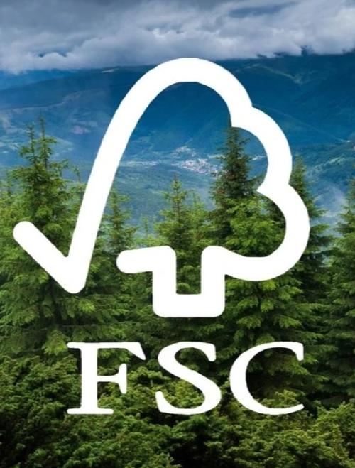 fscapture下载