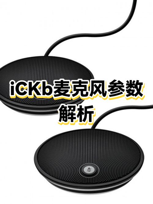 麦克风参数怎么看
