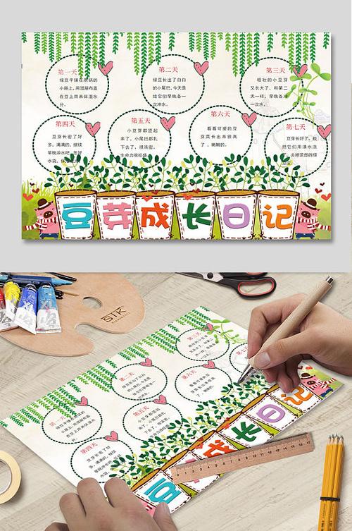 豆芽生长记录表合集