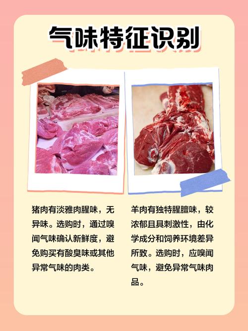 羊肉肥肉和羊瘦肉营养价值一样吗