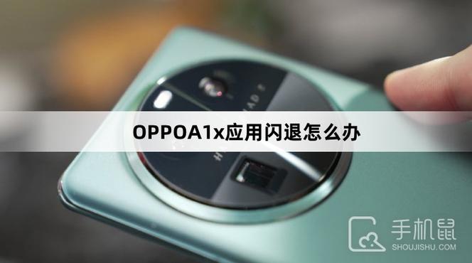 oppo手机应用程序闪退的解决方法