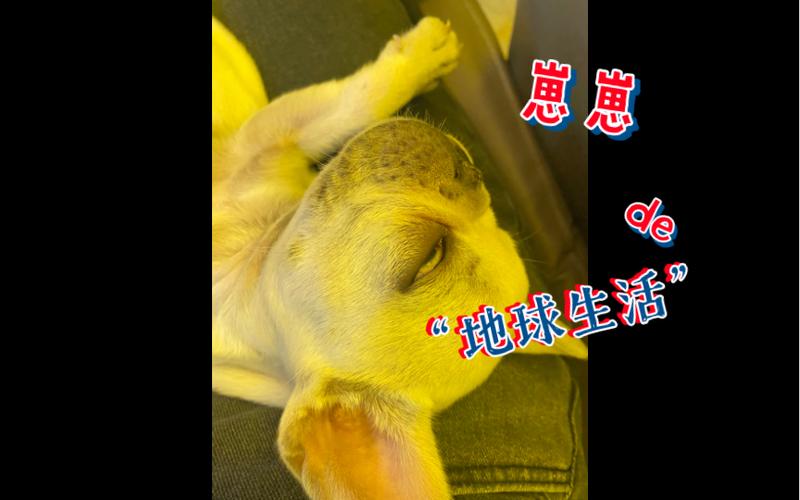 出门横着走是什么意思