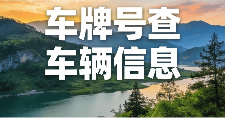 车牌照查询车辆信息