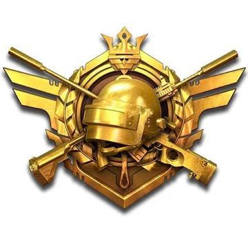 和平精英团队竞技徽章缩略图