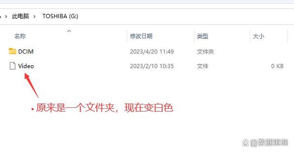 文件夹变成一个白色框缩略图