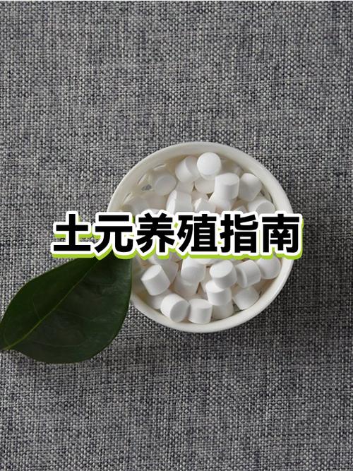 养殖100平方土元利润