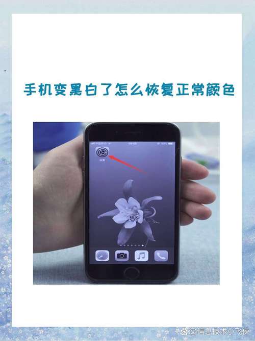 vivo手机显示屏变黑白怎么恢复