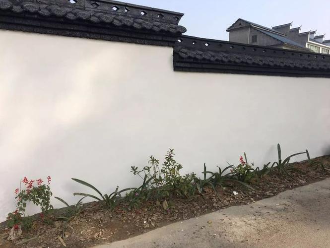 白省美化