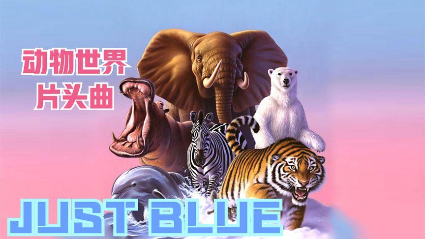 动物世界片头曲