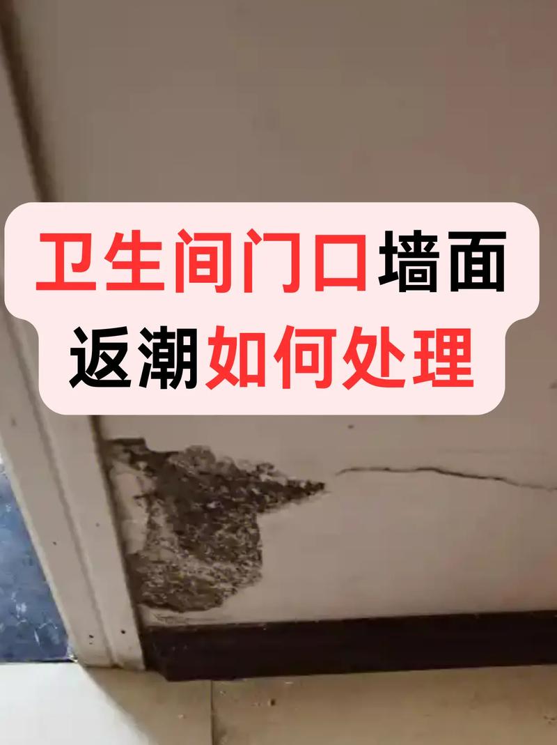 家里返潮严重墙壁怎么处理