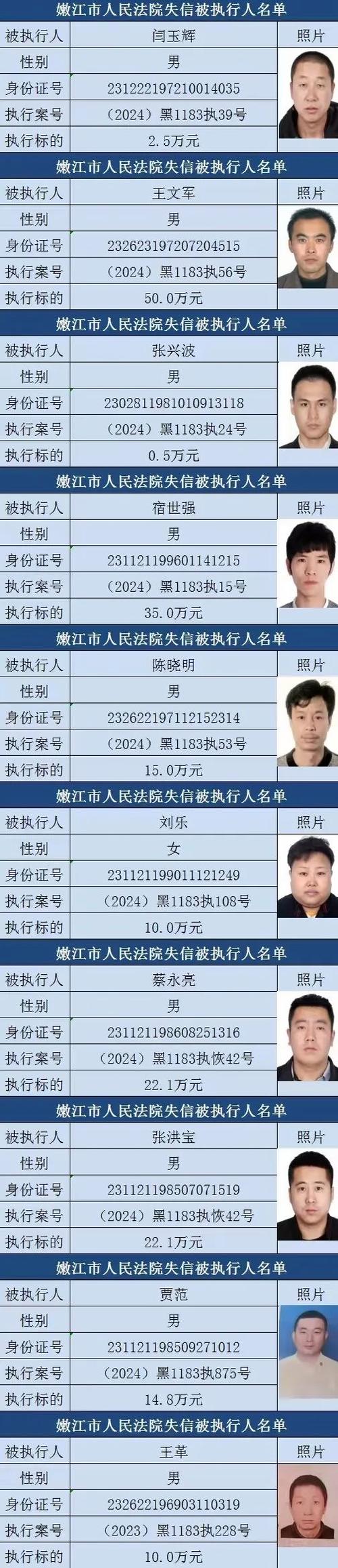 老赖一般几年就不查了
