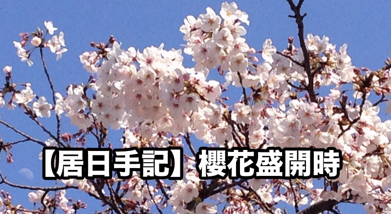 樱花校园拉肚子放屁