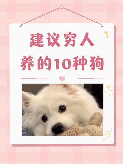 养宠物狗赚钱吗缩略图