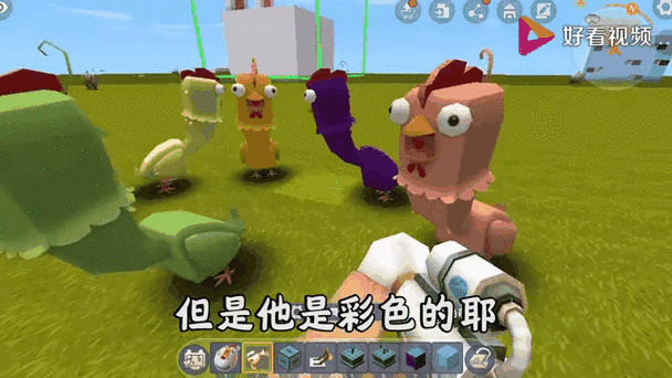 迷你世界怎么吸引鸡跟随
