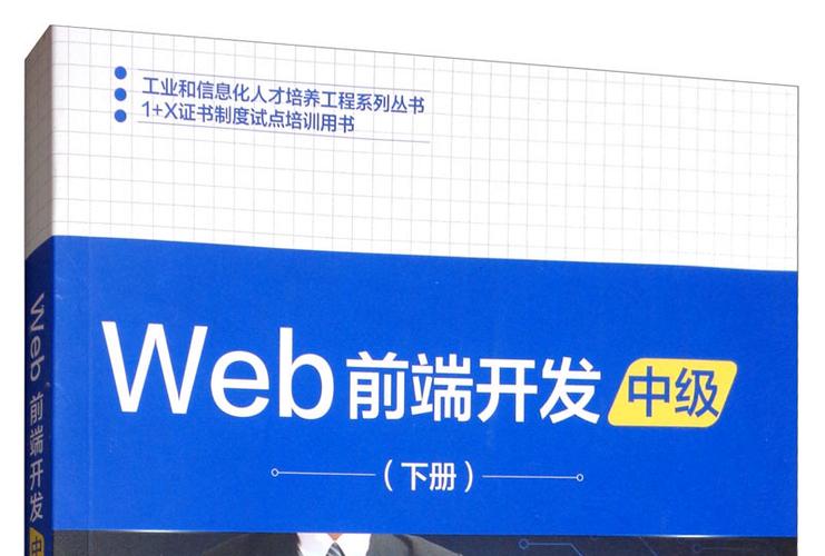 web前端开发截图