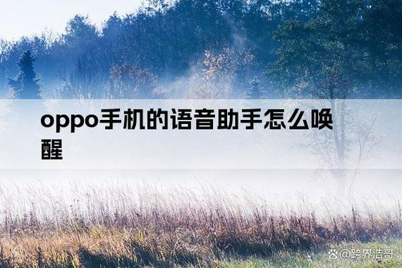 oppor9s有语音唤醒吗
