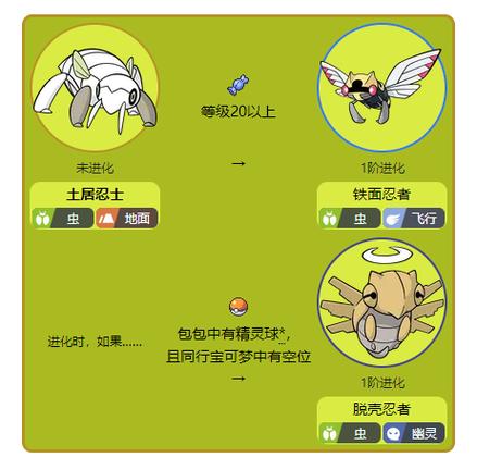 脱壳忍者图鉴