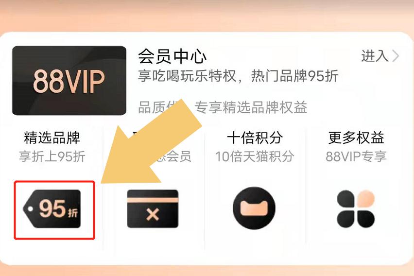 如何查看自己是不是88vip