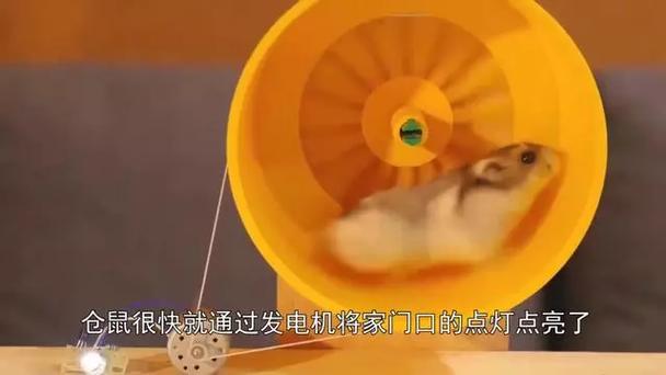 仓鼠发电