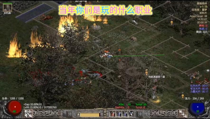 暗黑破坏神2单机下载缩略图