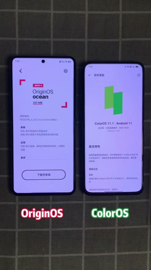 oppo手机小组件桌面布置截图