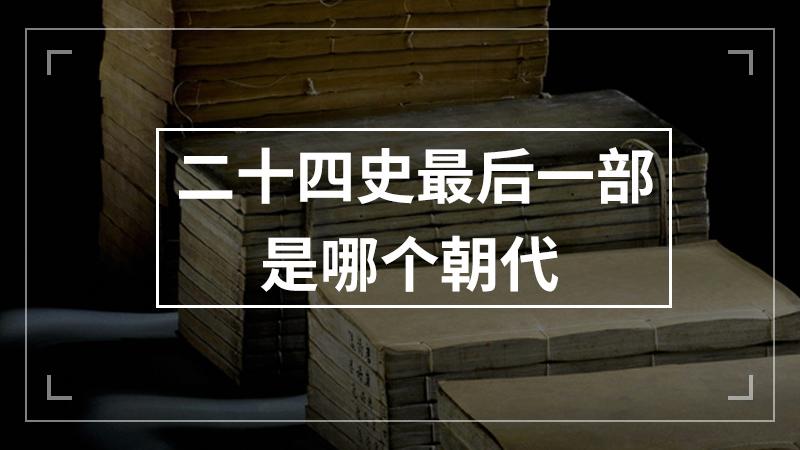 二十四史最后一个是写的哪个朝代
