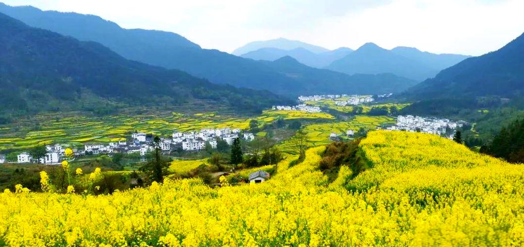 江西婺源几月份去最好游戏截图