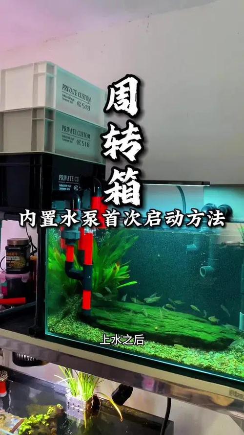 鱼缸水泵会转但抽不上水