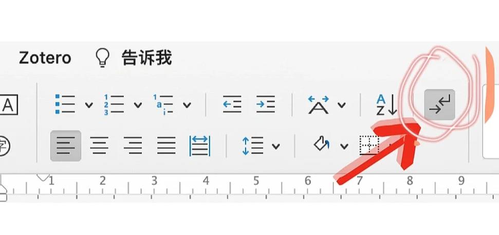 word里面怎么删除分节符