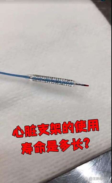 支架的寿命一般是多长
