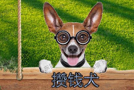 养狗怎么赚钱缩略图